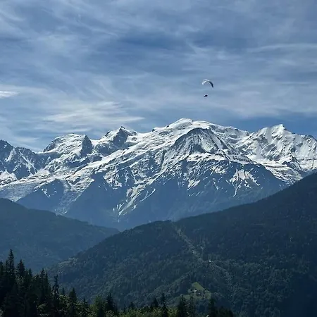 Mont Blanc View On A 40m2 Terrace Διαμέρισμα Passy (Haute-Savoie)