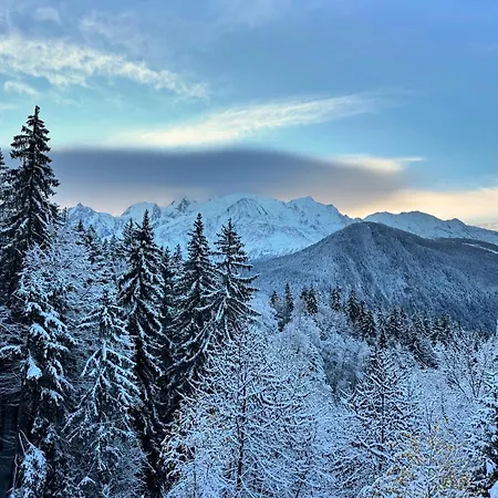 Mont Blanc View On A 40m2 Terrace Appartement *