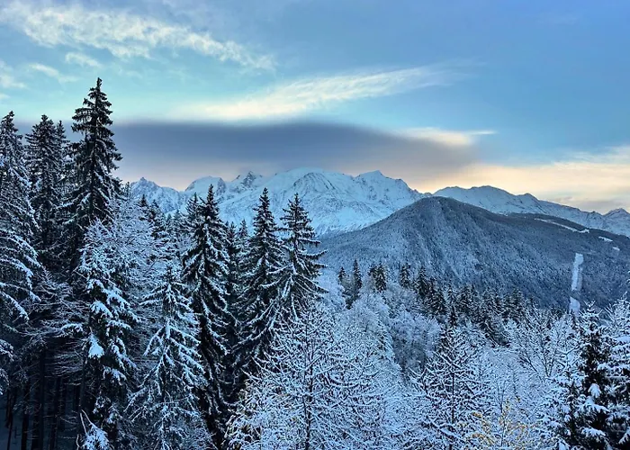 Mont Blanc View On A 40m2 Terrace Apartman *