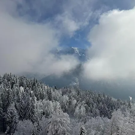 Mont Blanc View On A 40m2 Terrace *